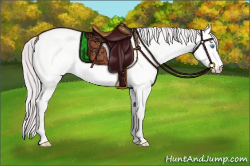 Horse Color:Platinum Perlino Roan Dun 