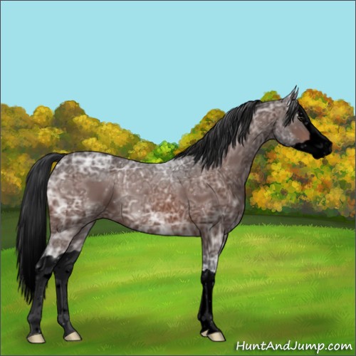 Horse Color:Void Brown Ice Splash