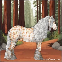 Horse Color:Cremello Sabino  and Cremello Sabino Rabicano 