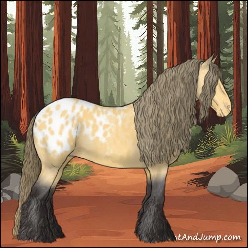 Horse Color:Buckskin Blanket