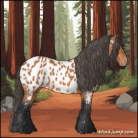 Horse Color:Bay Near Leopard