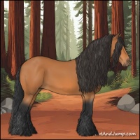Horse Color:Bay 