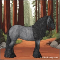 Horse Color:Blue Roan 