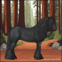 Horse Color:Black 