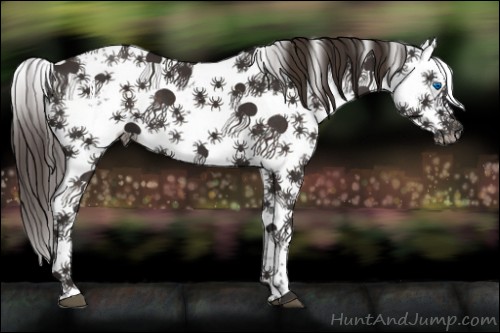 Horse Color:Liver Chestnut Frame 