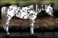 Horse Color:Liver Chestnut Frame
