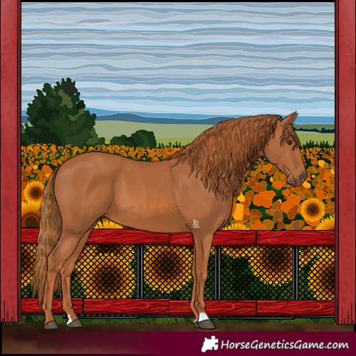 Horse Color:Chestnut 