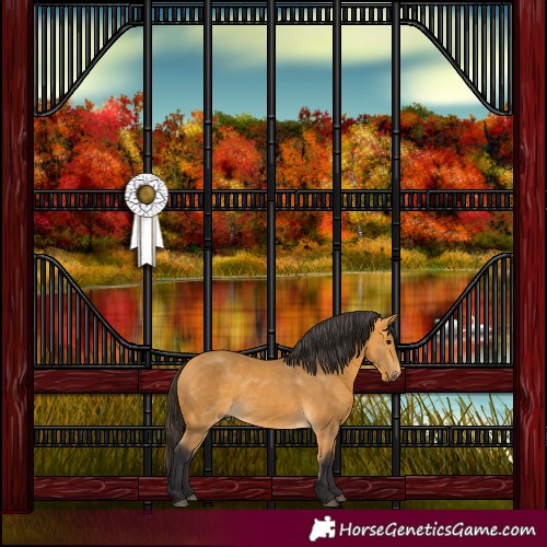 Horse Color:Buckskin 