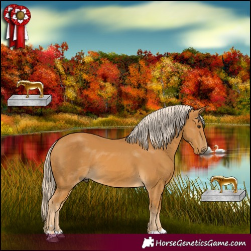 Horse Color:Palomino 