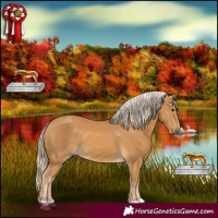 Horse Color:Palomino 
