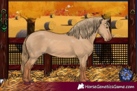 Horse Color:Red Dun 