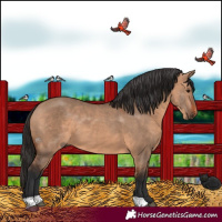 Horse Color:Bay Dun