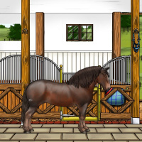Horse Color:Liver Chestnut 