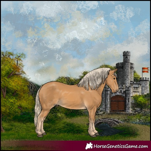 Horse Color:Palomino