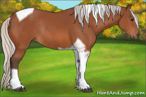 Horse Color:Silver Bay Tobiano Rabicano 