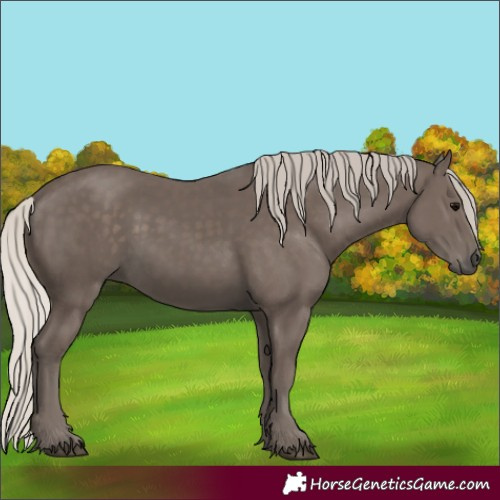Horse Color:Silver Black 