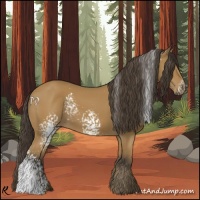 Horse Color:White Spotted Buckskin 
