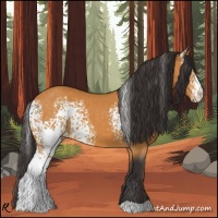 Horse Color:White Spotted Buckskin