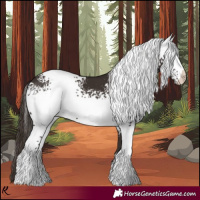 Horse Color:White Spotted Liver Chestnut 