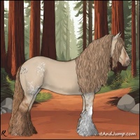 Horse Color:White Spotted Red Dun 