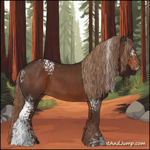 Horse Color:White Spotted Liver Chestnut 