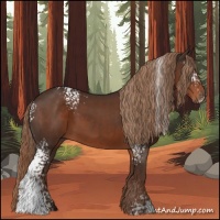 Horse Color:White Spotted Liver Chestnut 