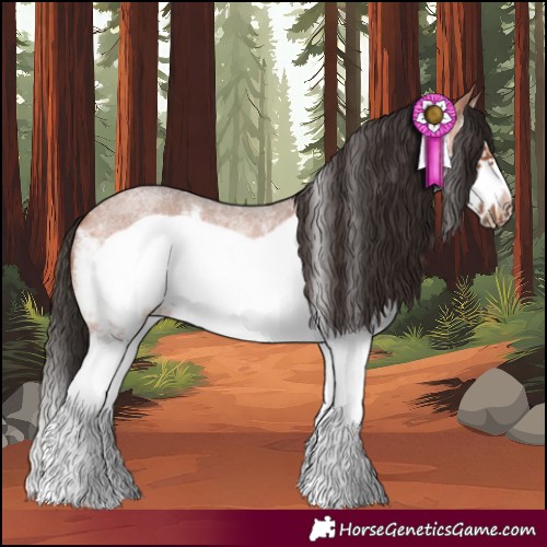 Horse Color:White Spotted Bay Roan Splash Frame 