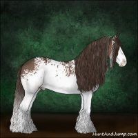 Horse Color:White Spotted Liver Chestnut Splash 