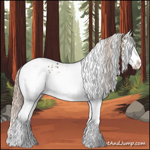 Horse Color:White Spotted Chocolate Palomino Splash