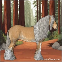 Horse Color:White Spotted Palomino 