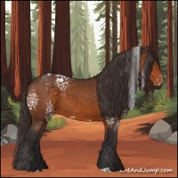 Horse Color:White Spotted Buckskin Varnish 