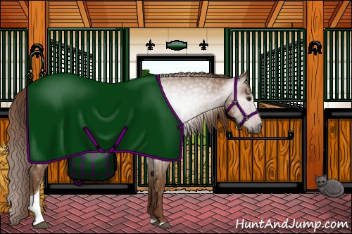 Horse Color:Gray Chestnut Tobiano