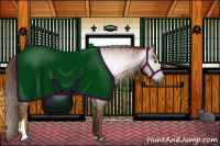 Horse Color:Gray Chestnut Tobiano