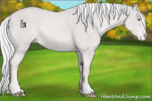 Horse Color:Platinum Cremello Varnish 
