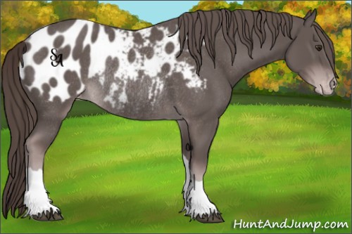 Horse Color:Platinum Liver Chestnut Blanket Rabicano 