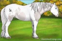 Horse Color:Platinum Chocolate Palomino Pearl Splash Tobiano Blanket 