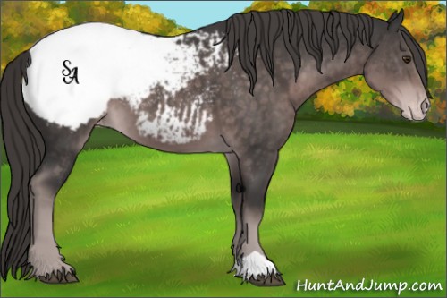 Horse Color:Platinum Liver Chestnut Appaloosa 
