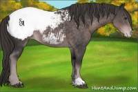 Horse Color:Platinum Liver Chestnut Snowcap 