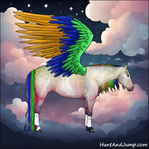 Horse Color:Gray Painted Grullo