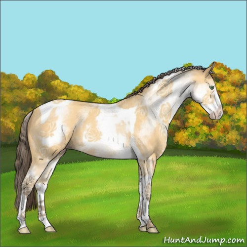 Horse Color:White Spotted Amber Cream Champagne Tobiano 