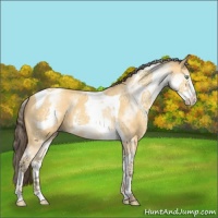 Horse Color:White Spotted Amber Cream Champagne Tobiano 