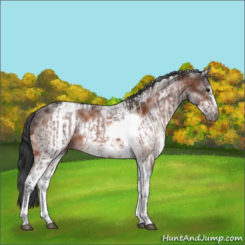 Horse Color:Brown Ice Roan Tobiano Frame  and White Spotted Brown Frame 