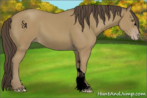 Horse Color:Void Classic Cream Champagne 