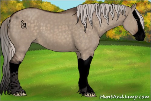 Horse Color:Void Silver Brown Dun Splash 