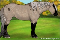 Horse Color:Void Silver Brown Dun Splash 