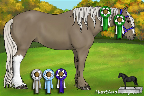 Horse Color:Silver Smoky Black 