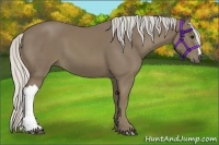 Horse Color:Silver Smoky Black 