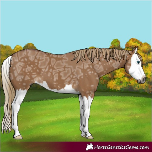 Horse Color:Gray Red Dun Ice Splash