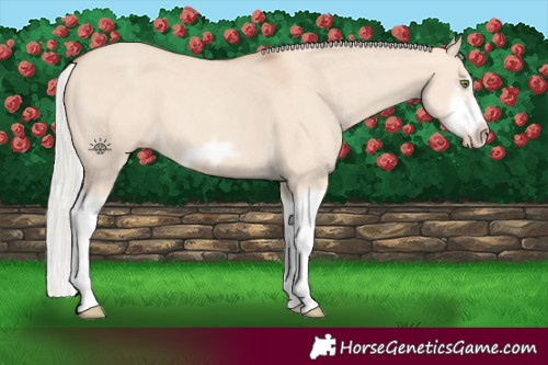 Horse Color:Silver Classic Champagne Dun Splash Frame 