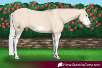 Horse Color:Silver Classic Champagne Dun Splash Frame 